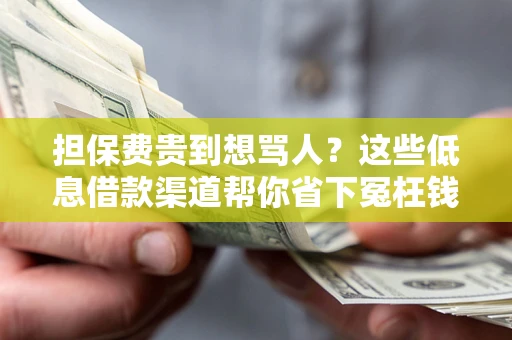 济南担保费贵到想骂人？这些低息借款渠道帮你省下冤枉钱
